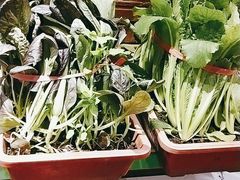 -额尔敦传统涮(体育场店)