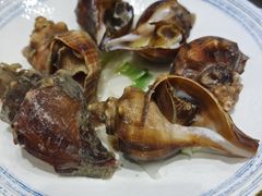 -小海丁