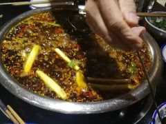 -费明中罗非鱼(大石坝店)
