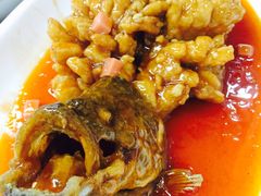 松鼠桂鱼-协和菜馆(凤凰街店)