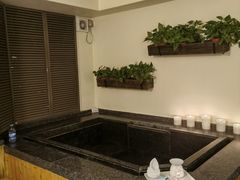 -春晖园度假酒店温泉