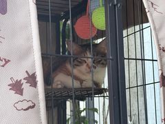 -saigon saigon | 西贡西贡(滨北店)