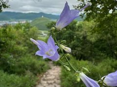-喇嘛山国家森林公园