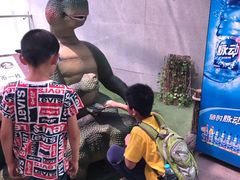 -陕西自然博物馆