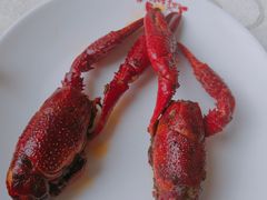 -小李子油焖大虾(天下城旗舰店)