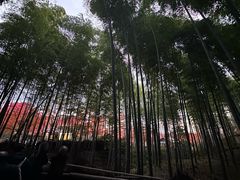 -岚山嵯峨野观光小火车