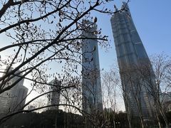 -陆家嘴中心绿地