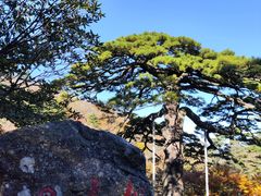 -黄山风景区
