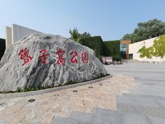 景点-鸽子窝公园