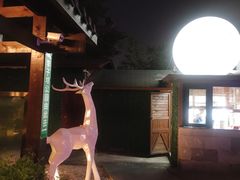 环境-夜宴江景餐厅