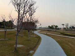 -春花秋色城市公园