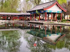 -百脉泉景区