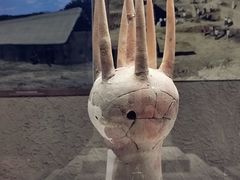 -亳州博物馆