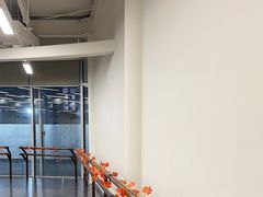 -邓肯舞蹈教育(深圳湾教学中心)
