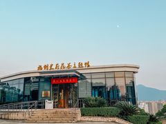 -金鸡山公园