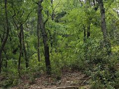 -杭州半山国家森林公园