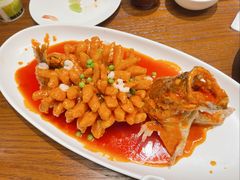 -新梅华(星悦汇店)