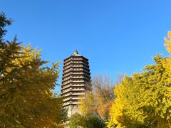 -玲珑塔公园