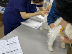 -爱侣宠医·鹦鹉专科·小型哺乳类·异宠专科(灵石路店)