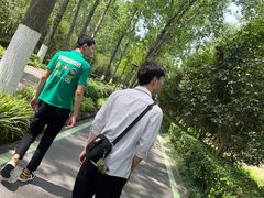 -合肥滨湖国家森林公园