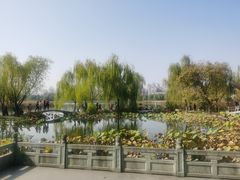 -武汉园博园(武汉自然博物馆)