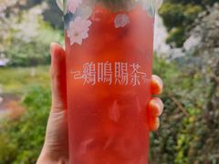 -鸡鸣赐茶(鸡鸣寺路店)