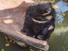 -长鹿旅游休博园
