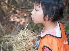 -火炉山森林公园