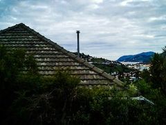 -维乐口腔医院(星海湾分院)