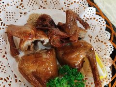 红烧乳鸽-一煲鸽