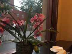 -小土豆北方菜馆(文慧园店)