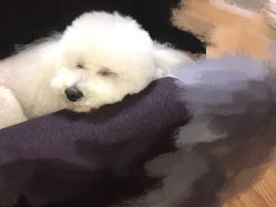 -变画·发型STUDIO