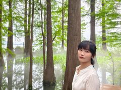 -东湖落雁景区