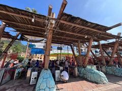 -重庆海昌加勒比海水世界