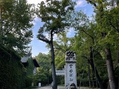 -灵谷景区