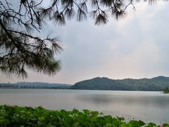-东湖落雁景区
