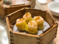 -宝园酒家(美林M·LIVE天地东座店)