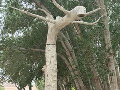 -敦煌莫高窟