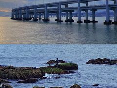 -银沙滩浴场