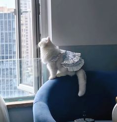 -熙画美上门化妆·化妆课·新娘跟妆(上海体育场店)