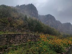 -红崖峡谷景区