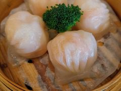 虾饺-纳福苑(亮庆餐饮分店)