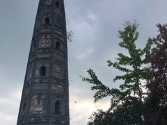 -上海佘山国家森林公园天马山园