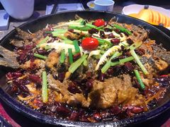 -老板恋上鱼(恒隆广场店)