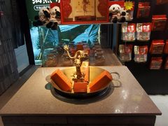 -小龙翻大江文化火锅(宽窄店)