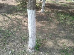 -北陵公园