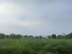 -径山花海