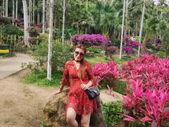 -呀诺达热带雨林