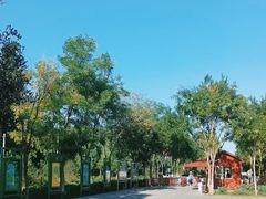-东郊湿地公园