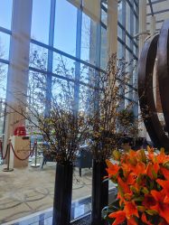 -今日陶艺(富力广场店)